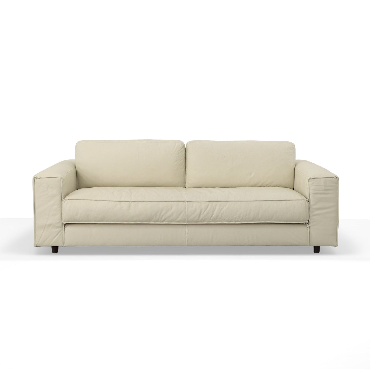 Bianca Genuine Leather Sleeper Sofa
